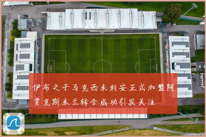 伊布之子马克西米利安正式加盟阿贾克斯米兰转会成功引发关注