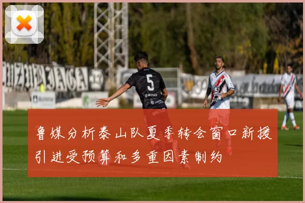 鲁媒分析泰山队夏季转会窗口新援引进受预算和多重因素制约